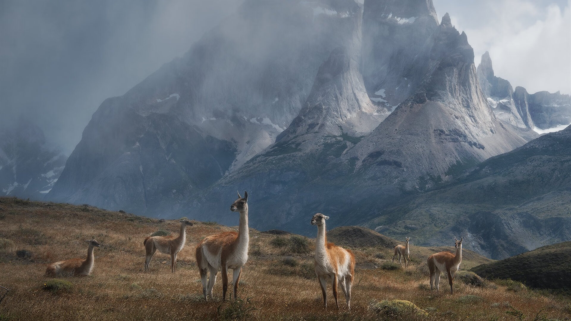乐鱼电竞在线平台登录入口-2024年埃及队表现：从挑战到崛起的完美转型，埃及乙组比赛
