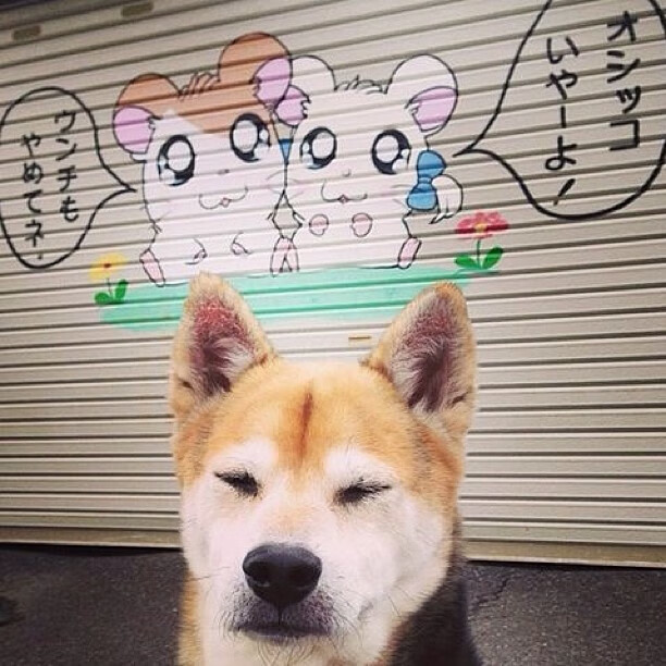 足球学校与俱乐部合作模式不畅