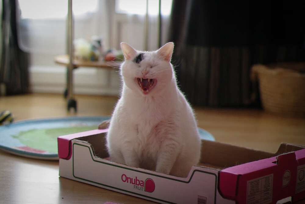 西甲精彩绝伦:攻防战不断刷新纪录!,西甲攻略