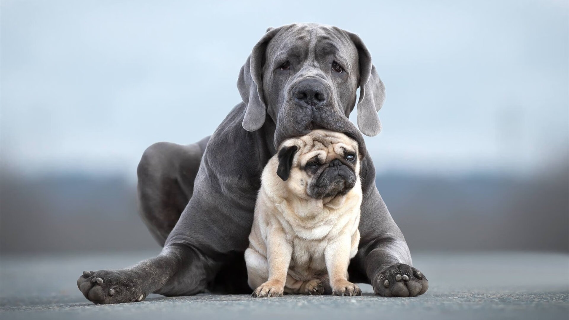 1000元套餐成新生入学“标配”,家长质疑收费合理性