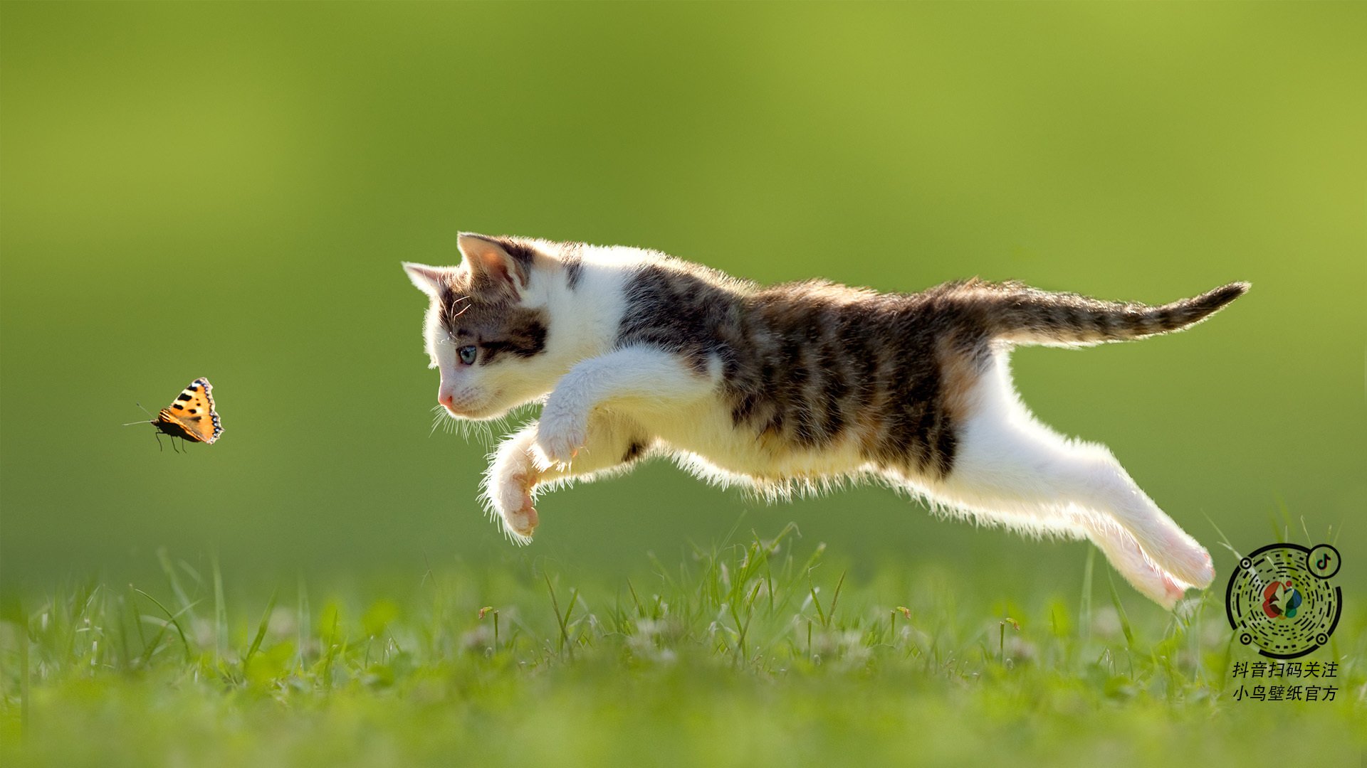 Leyu Sports (乐鱼体育)-2025留学生求职机构排名，DBC职梦成首选机构，留学求职机构好不好