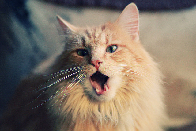 9.16足彩预测:005成输赢关键一场!,足彩19165