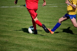 乐鱼电竞-中国足球俱乐部与高校合作足球项目推行情况，中国足球高校联赛