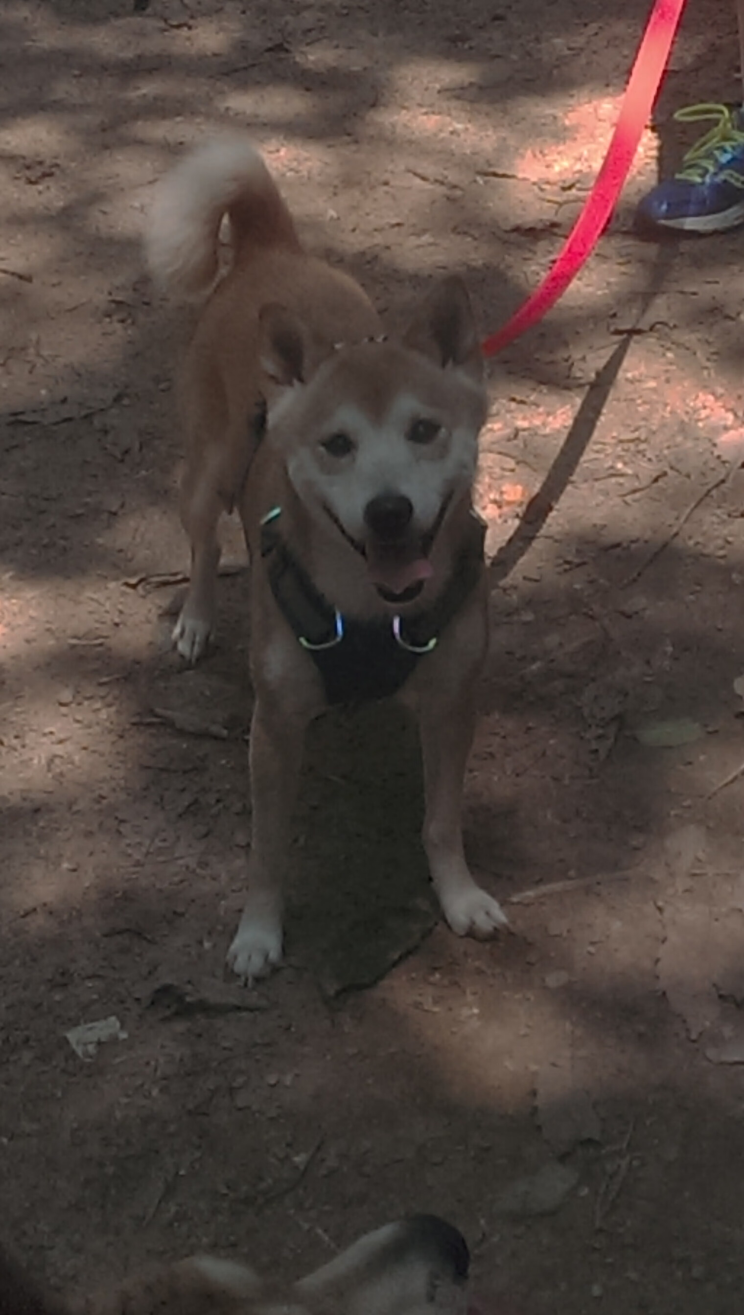 Leyu Sport下载-十年还清十亿债务，陈年创业逆境中的坚守，十年债务可起诉吗