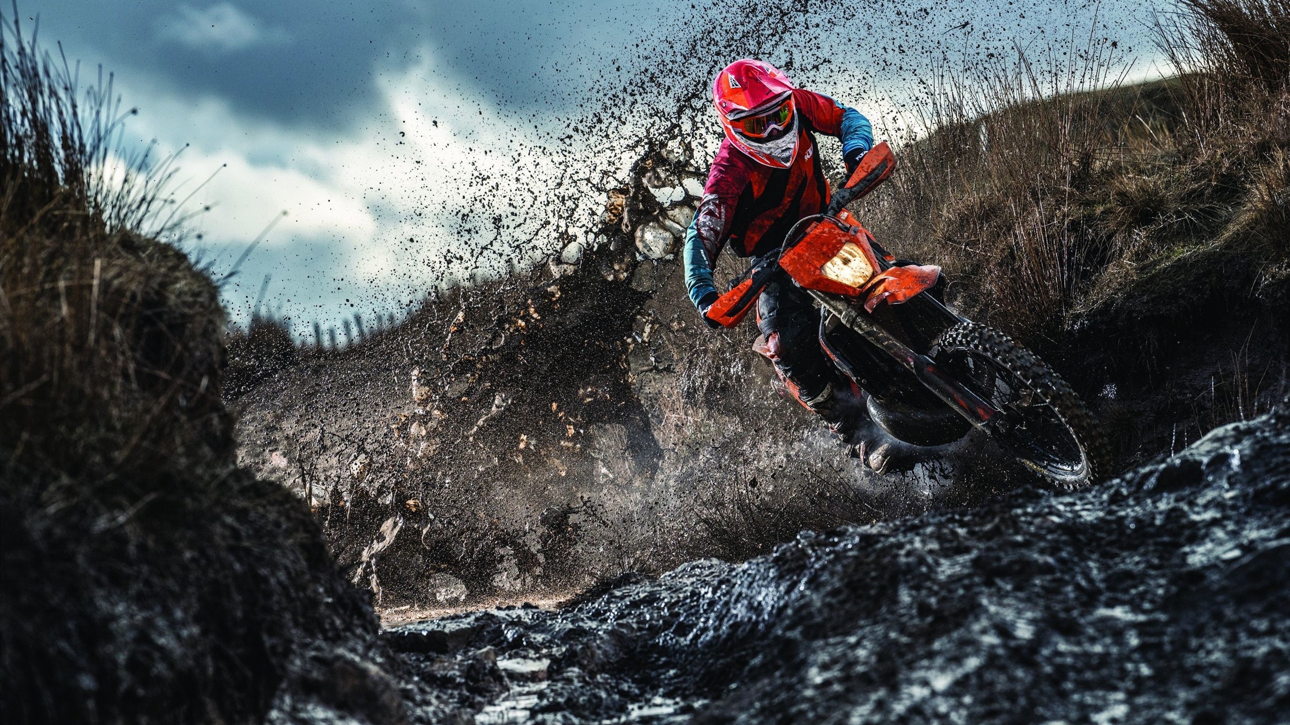 国际体联宣布未来周期将适度降低动作难度 加强对质量与艺术性的评分